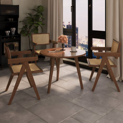 Modern Mid Century Dining Chairs Set Of Two