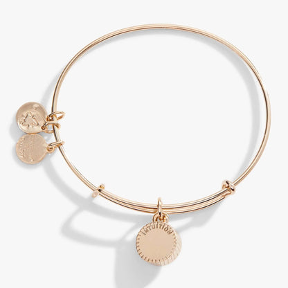 February Birthstone Charm Bangle Amethyst by Alex and Ani rose gold bracelet with charms on Tampa Home & Garden Store