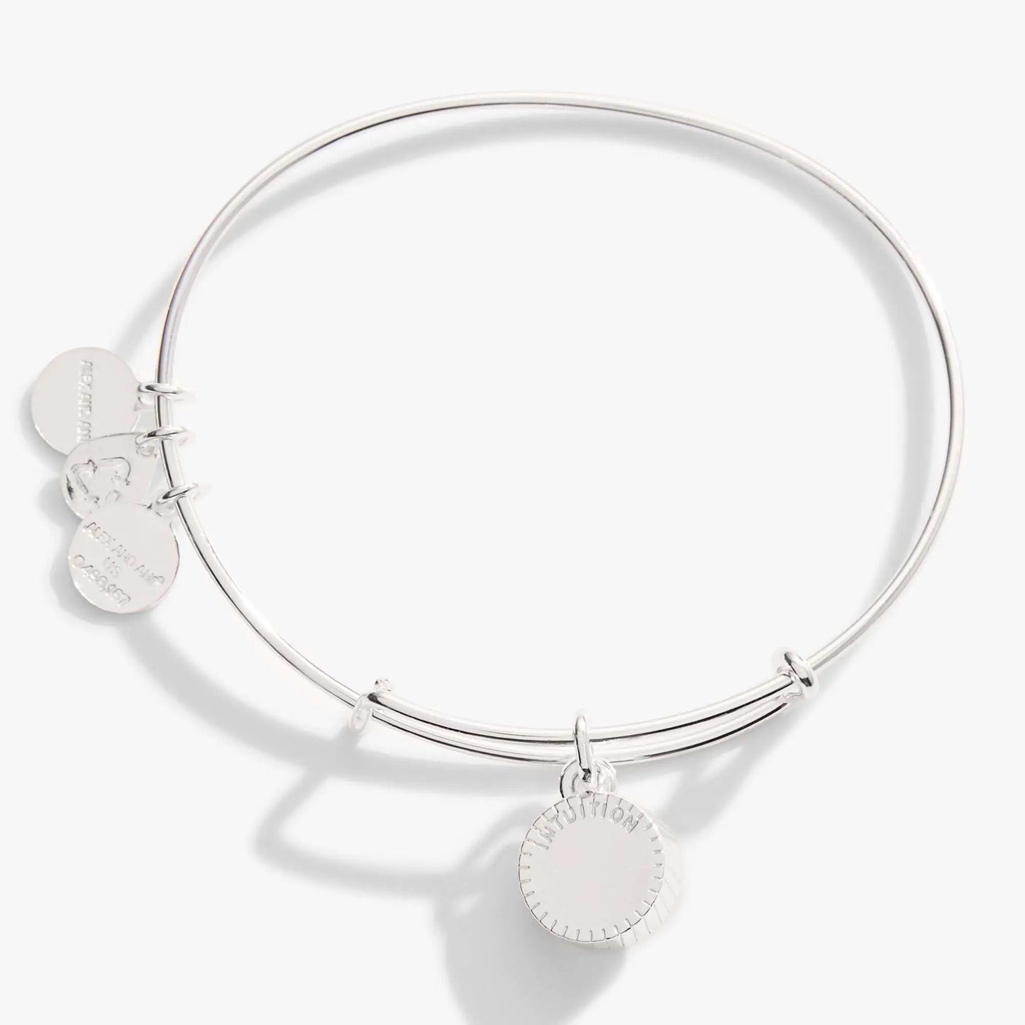 February Birthstone Charm Bangle Amethyst ALEX AND ANI silver tone bracelet on Tampa Home & Garden Store