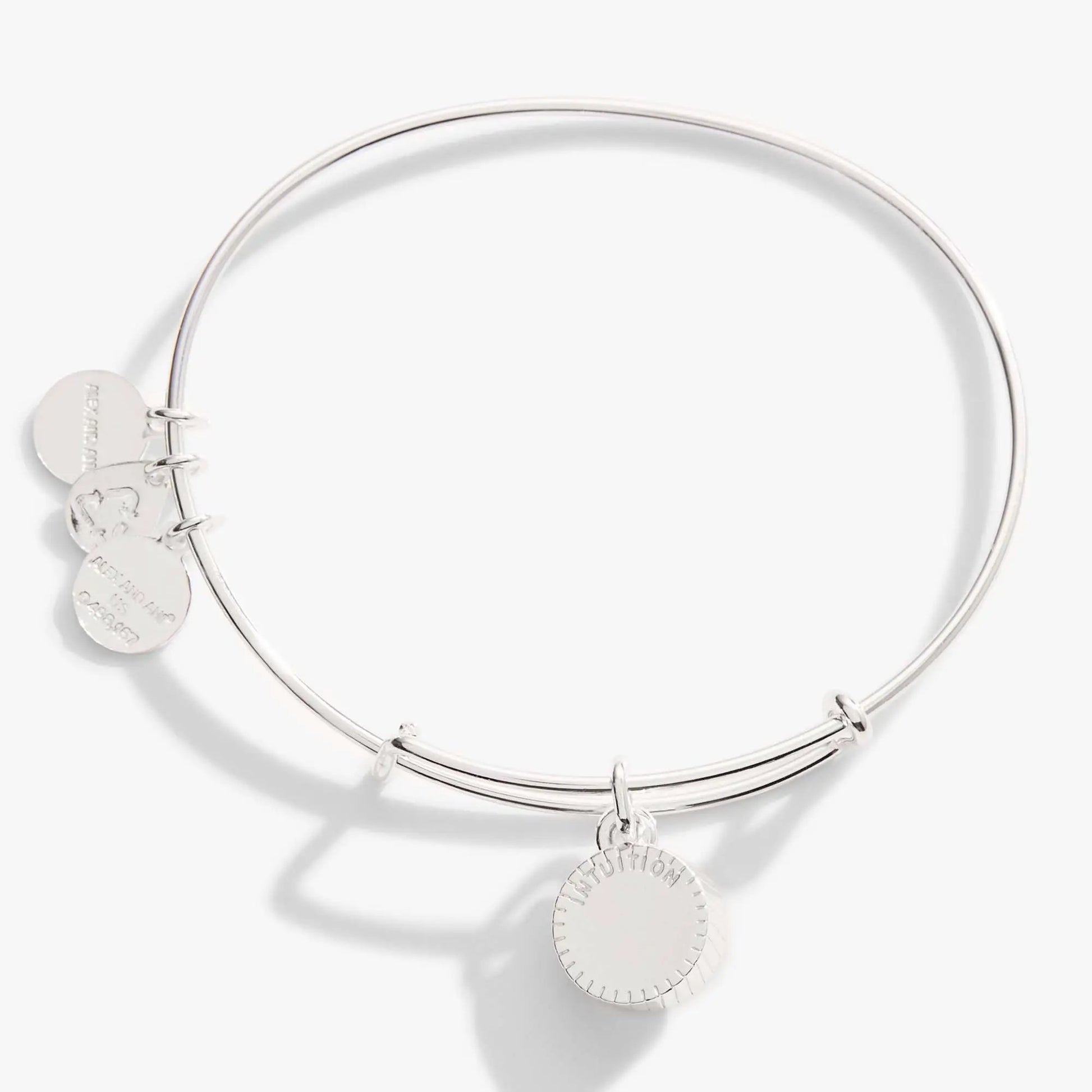February Birthstone Charm Bangle Amethyst ALEX AND ANI silver tone bracelet on Tampa Home & Garden Store