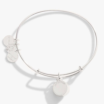 February Birthstone Charm Bangle Amethyst ALEX AND ANI silver tone bracelet on Tampa Home & Garden Store
