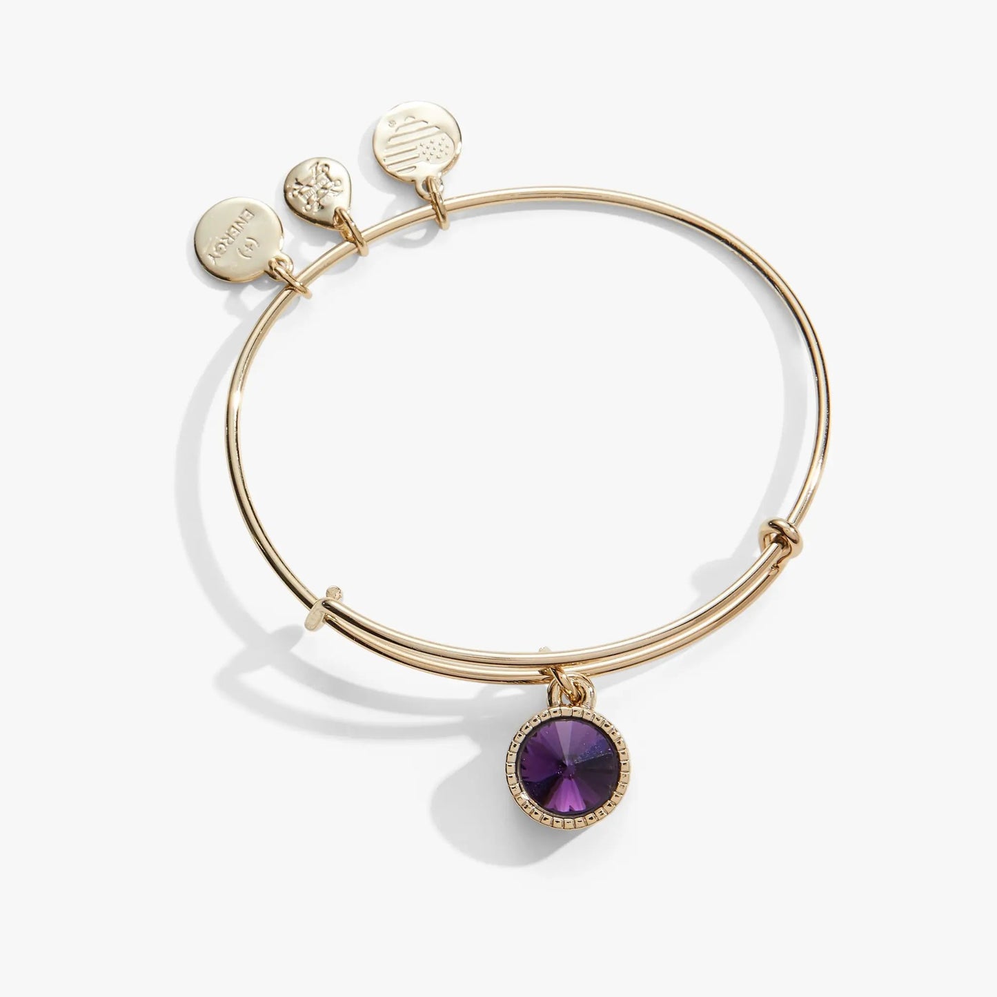 February Amethyst Birthstone Charm Bangle