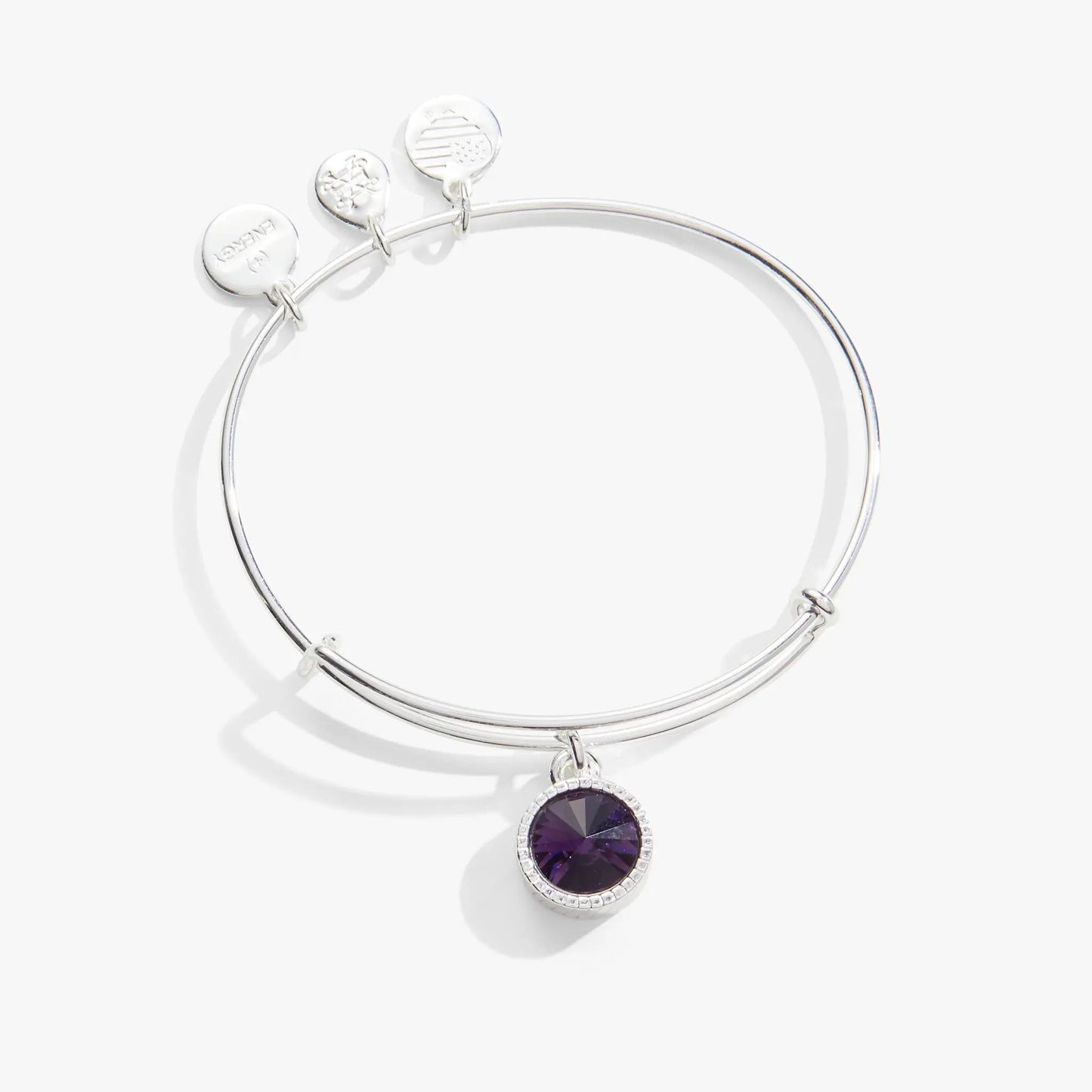 Bracelet Feb birthstone with amethyst pendant and three charms on silver ALEX AND ANI on Tampa Home & Garden Store