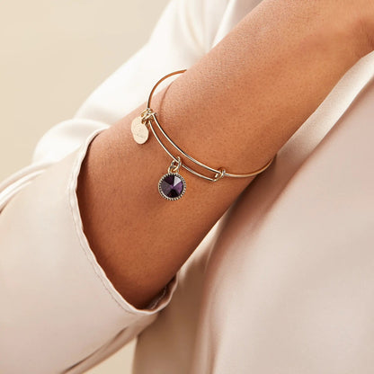 Bracelet February Birthstone Amethyst by ALEX AND ANI on gold bangle with purple pendant on Tampa Home & Garden Store