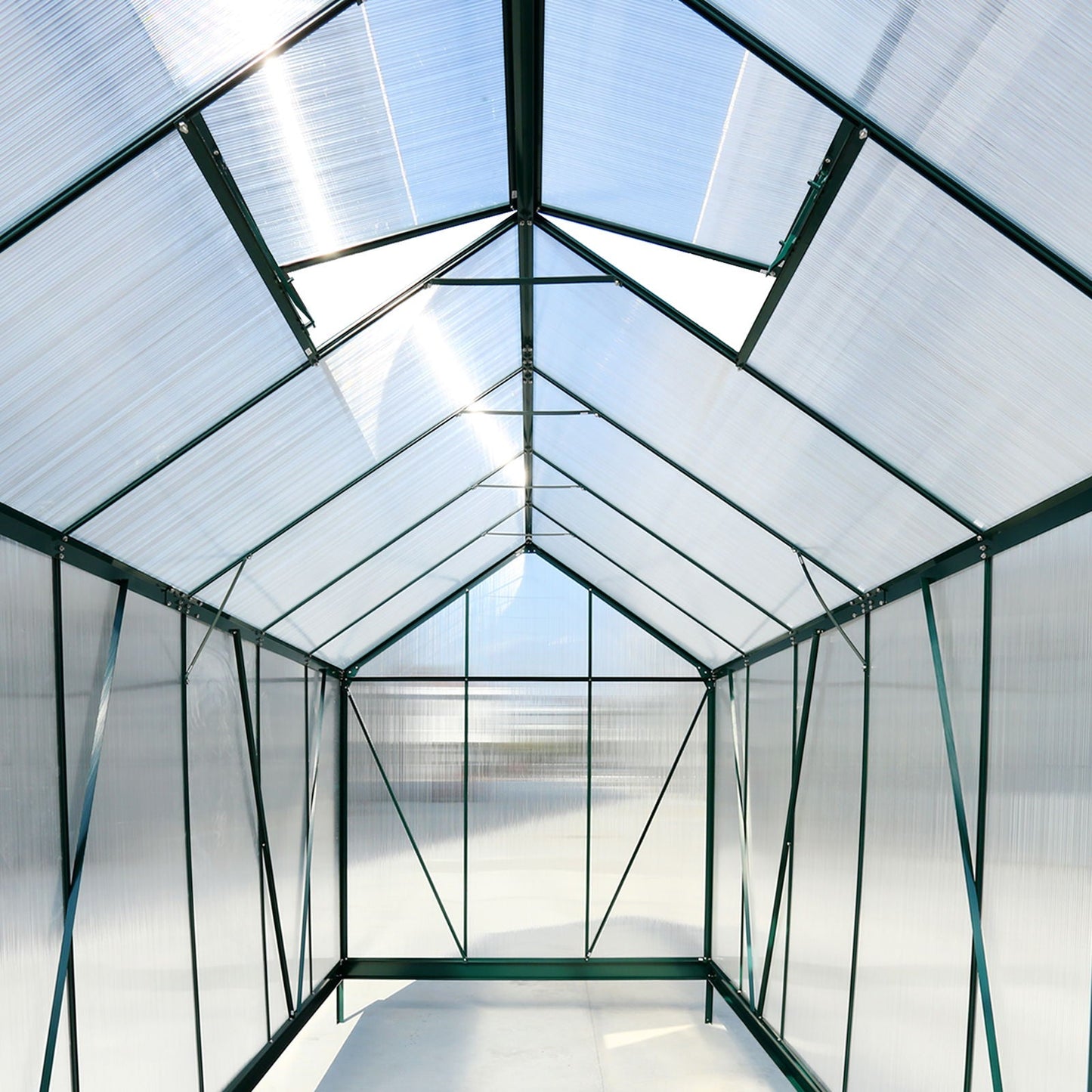 Heavy Duty Polycarbonate Greenhouse Kit and Door