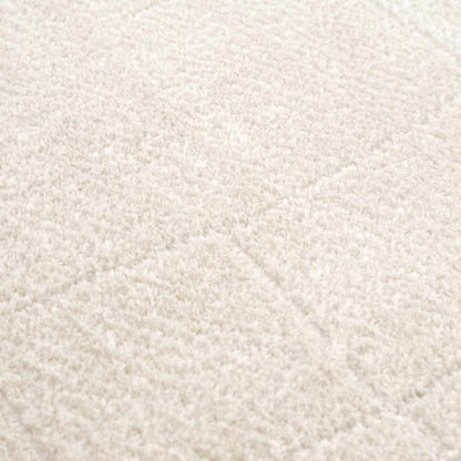 Koume Ivory Area Rug by Boutique Rugs with plush shag pile on Tampa Home & Garden Store