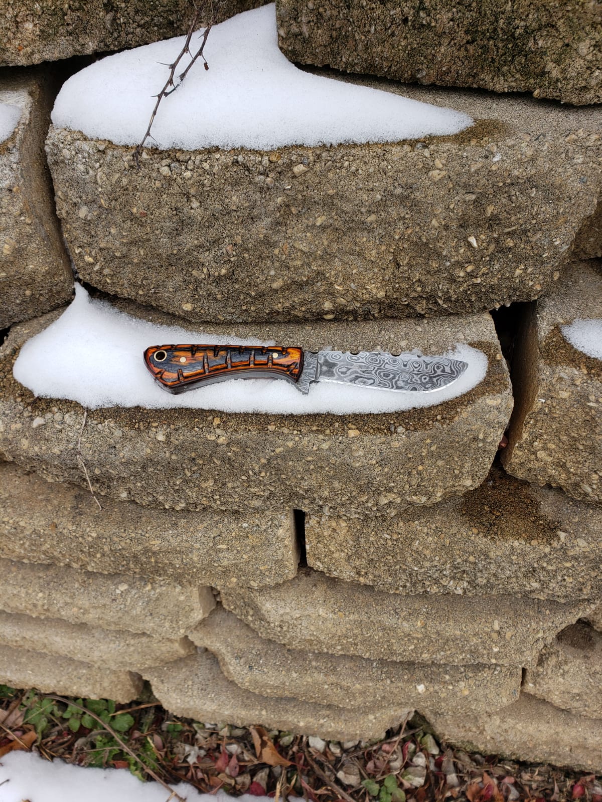 Damascus neck knife TD-239 by Titan International K with orange/black handle and Damascus blade on Tampa Home & Garden Store