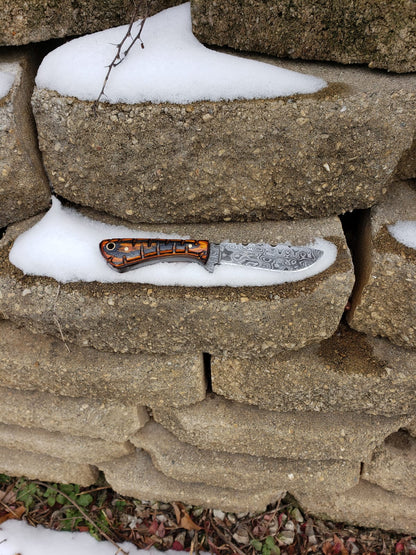 Damascus neck knife TD-239 by Titan International K with orange/black handle and Damascus blade on Tampa Home & Garden Store