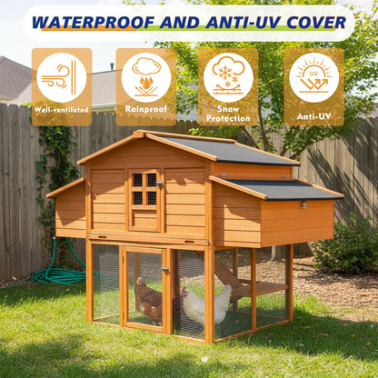 Outdoor Wooden Chicken House and Nesting Box