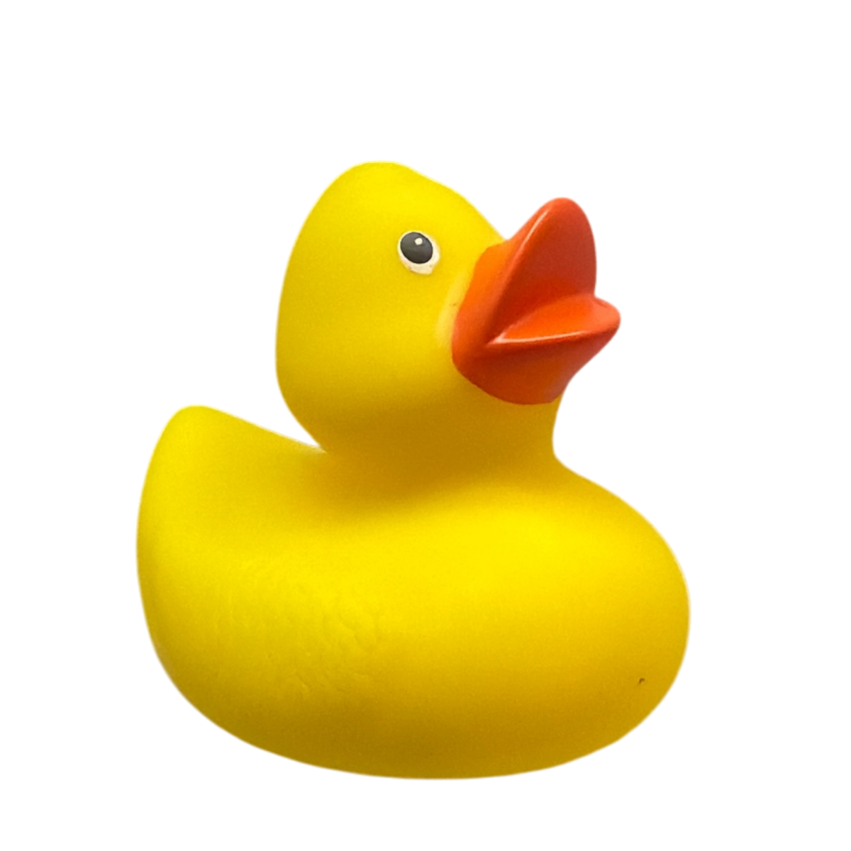 Lil Yellow Duck Bath Toy for Pool Fun by The Country Christmas Loft yellow duck with orange beak on Tampa Home & Garden Store
