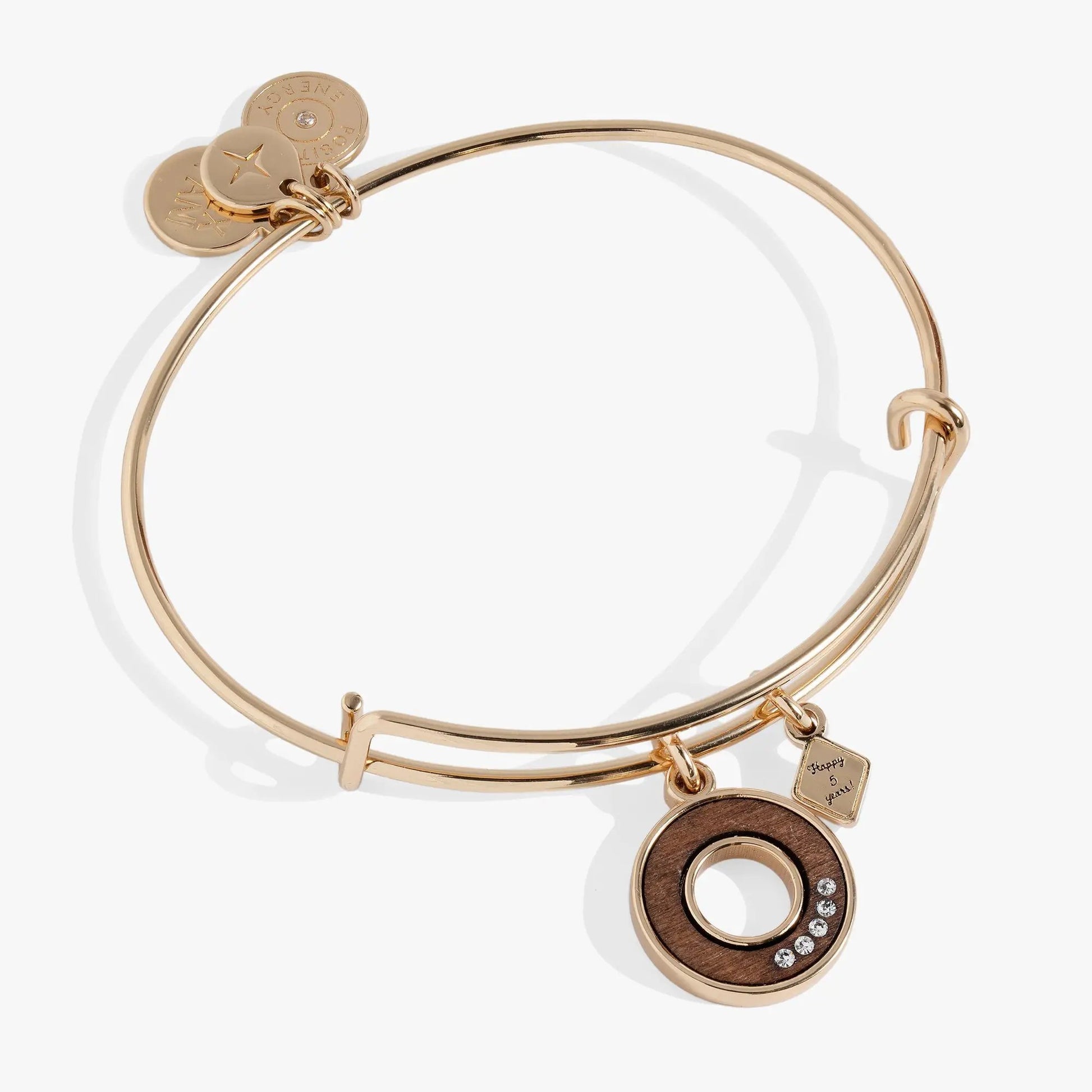 Alex and Ani Five-Year Anniversary Bangle with coin charm discs in rose gold on Tampa Home & Garden Store