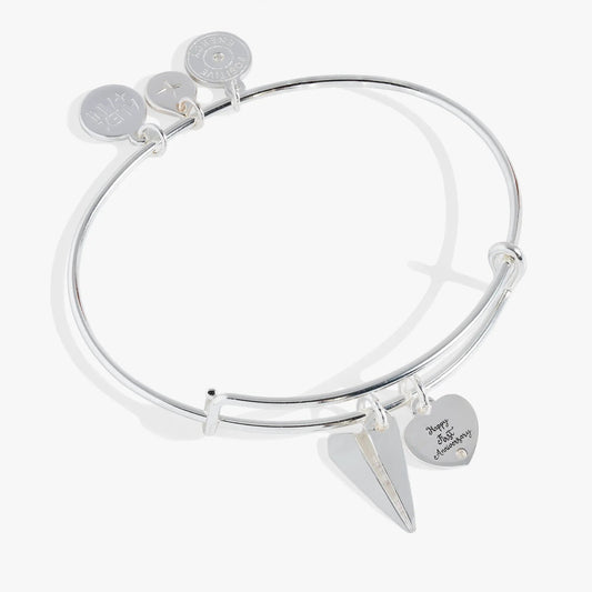 Alex and Ani First Anniversary Bangle silver bracelet with three charm discs and logo on Tampa Home & Garden Store