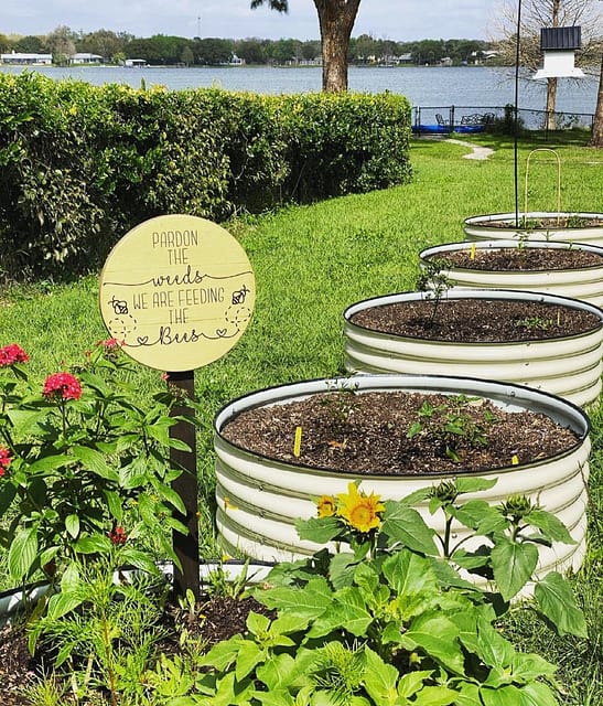 Instalación de bancales elevados cerca de la región de Tampa