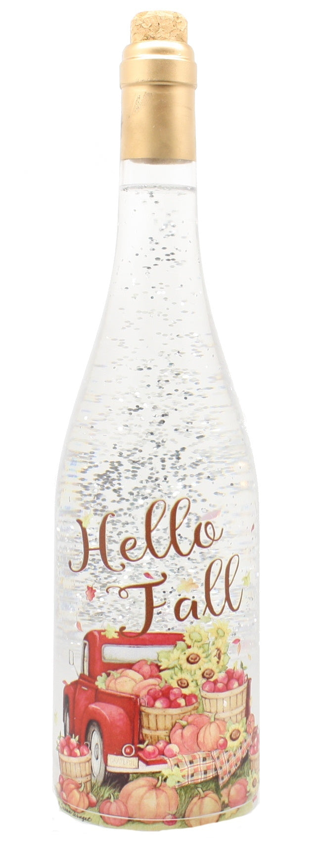 Lighted Spinning Water Globe Bottle -