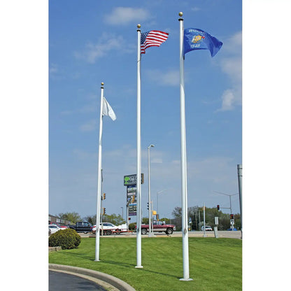 Three aluminum flagpoles with white, US, and Wisconsin flags on a grassy median on Tampa Home & Garden Store