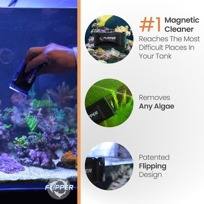 Cichlid Bros Flipper Magnet Scrubber Kit