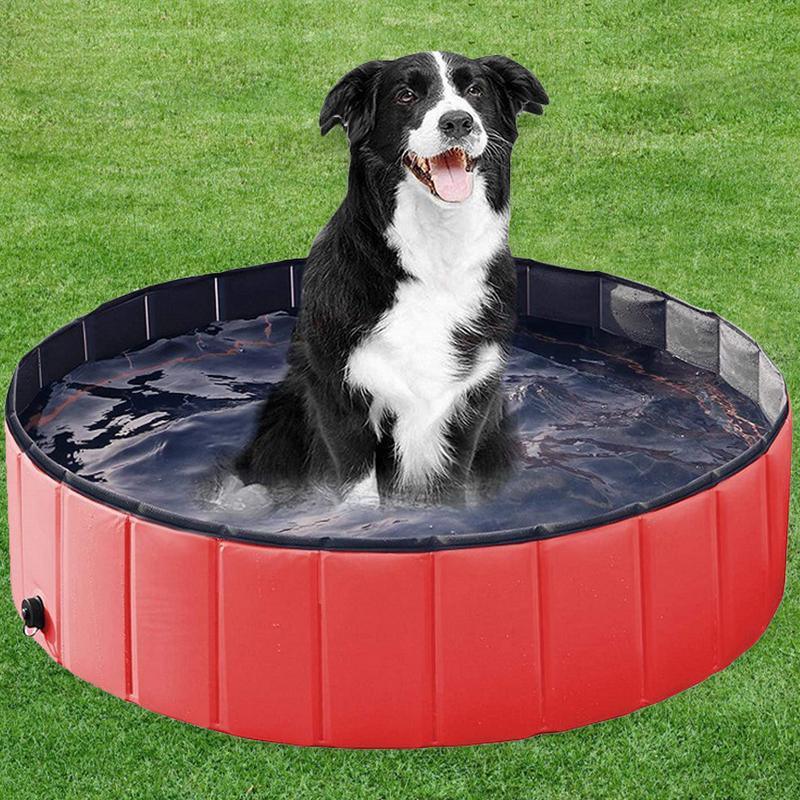 Stevvex foldable PVC dog pool, red round tub with black interior, dog in water on lawn on Tampa Home & Garden Store