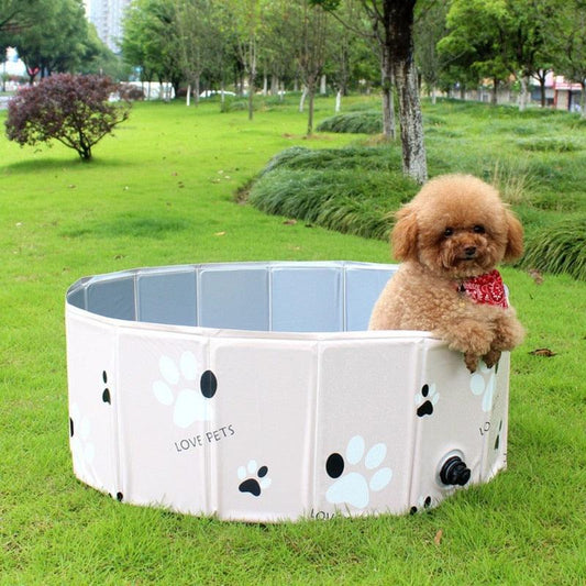 Foldable dog pool by Stevvex, white with paw prints and blue interior, dog resting on rim on Tampa Home & Garden Store