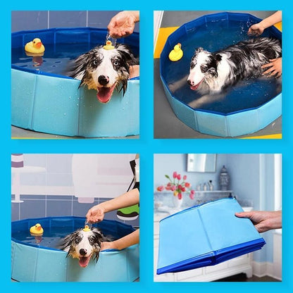Stevvex blue foldable dog pool, collapsible PVC tub for large or small dogs with rubber duck toy on Tampa Home & Garden Store