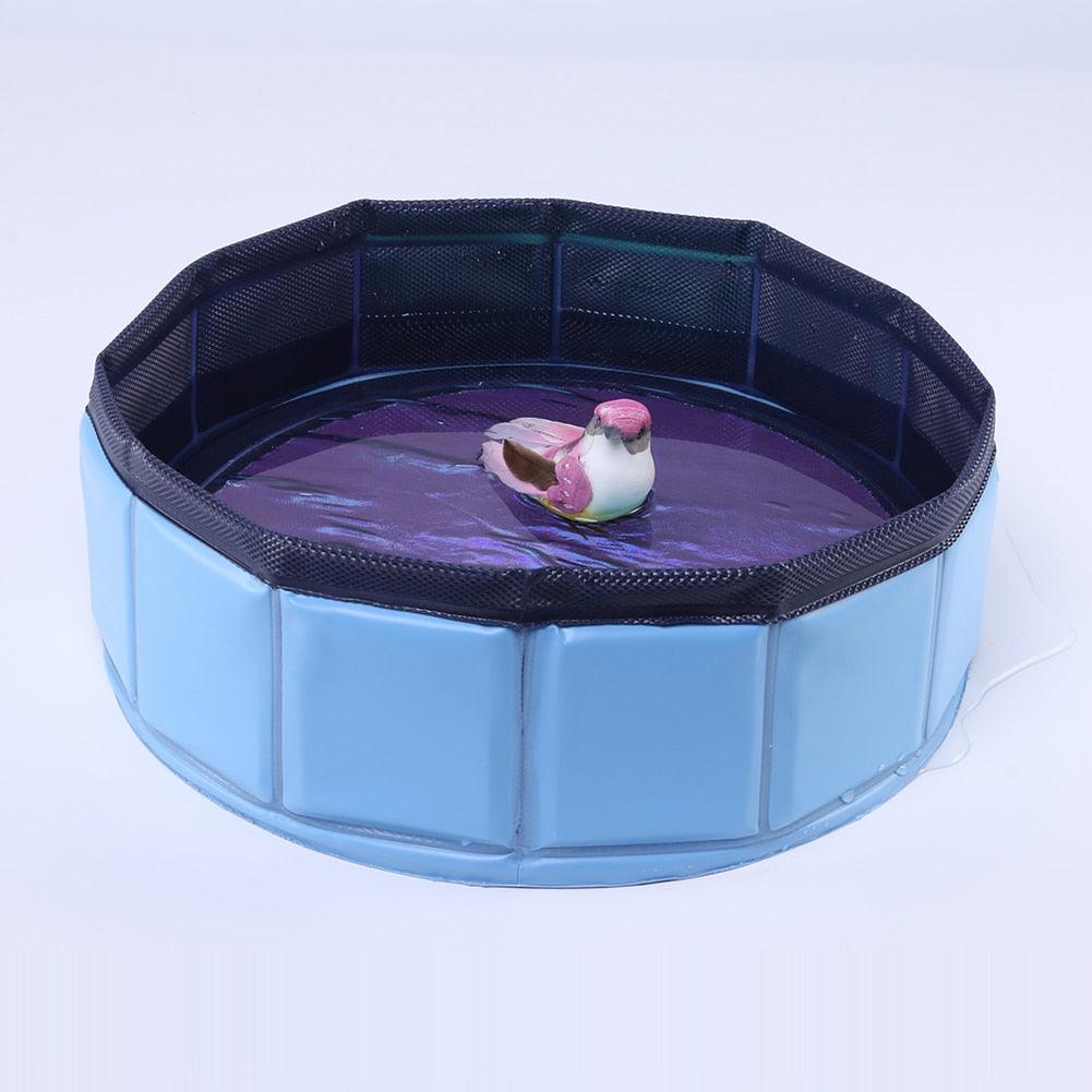 Foldable blue dog pool with black mesh rim by Stevvex, pink duck toy inside on Tampa Home & Garden Store