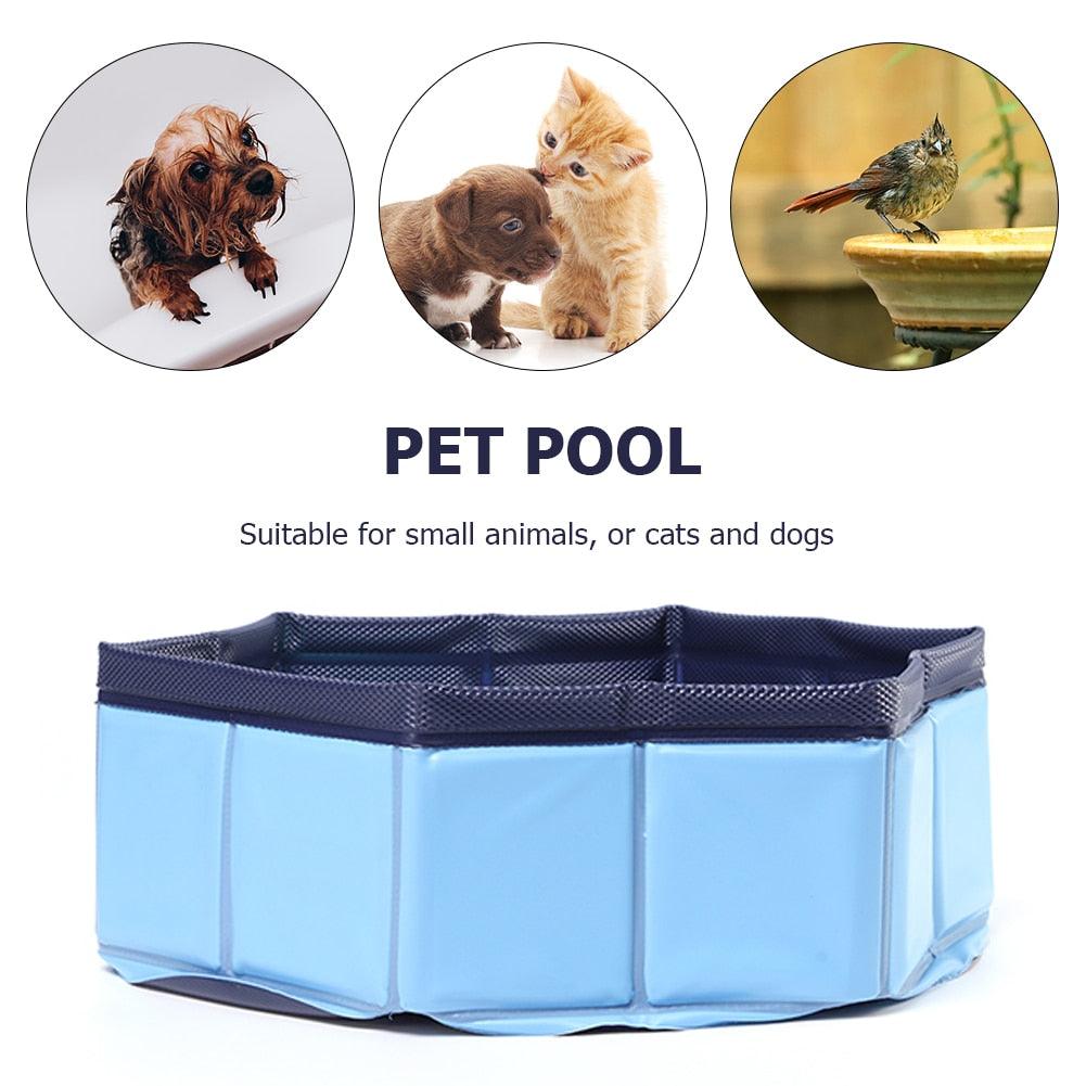 Foldable blue PVC dog pool with dark rim, collapsible outdoor pet bath pool on Tampa Home & Garden Store