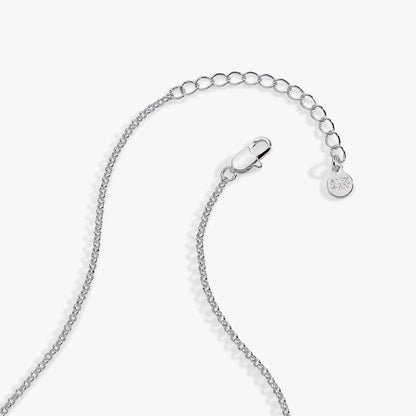 Football Spinner Pendant necklace by Alex and Ani, silver-tone with extender chain on Tampa Home & Garden Store