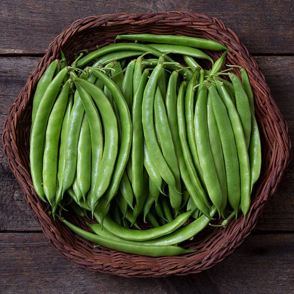 Forrester Romano Bush Beans fresh green beans in a woven basket Seedtime Store on Tampa Home & Garden Store