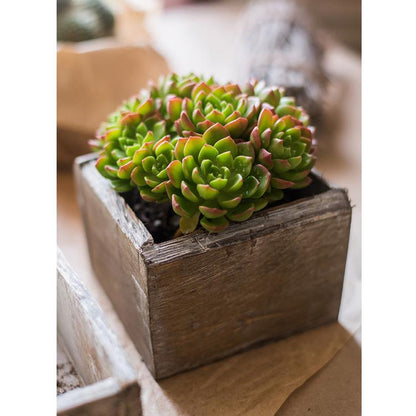 Four Piece Solid Wood Table Box Set by RusticReach with a brown wood planter and green succulent on Tampa Home & Garden Store