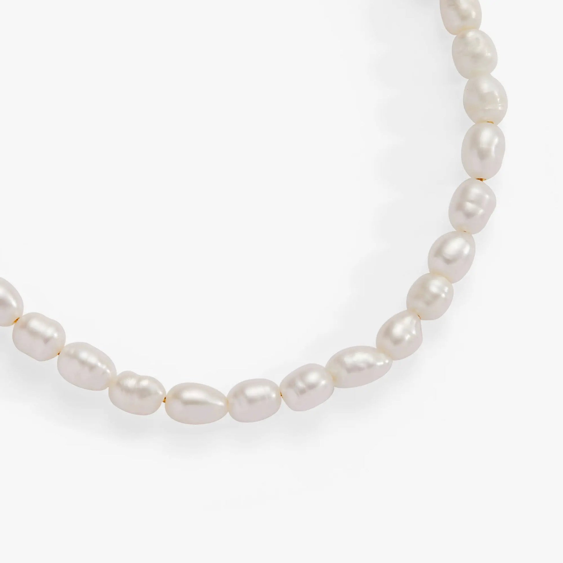 Freshwater Pearl Bracelet by ALEX AND ANI with white pearls on Tampa Home & Garden Store