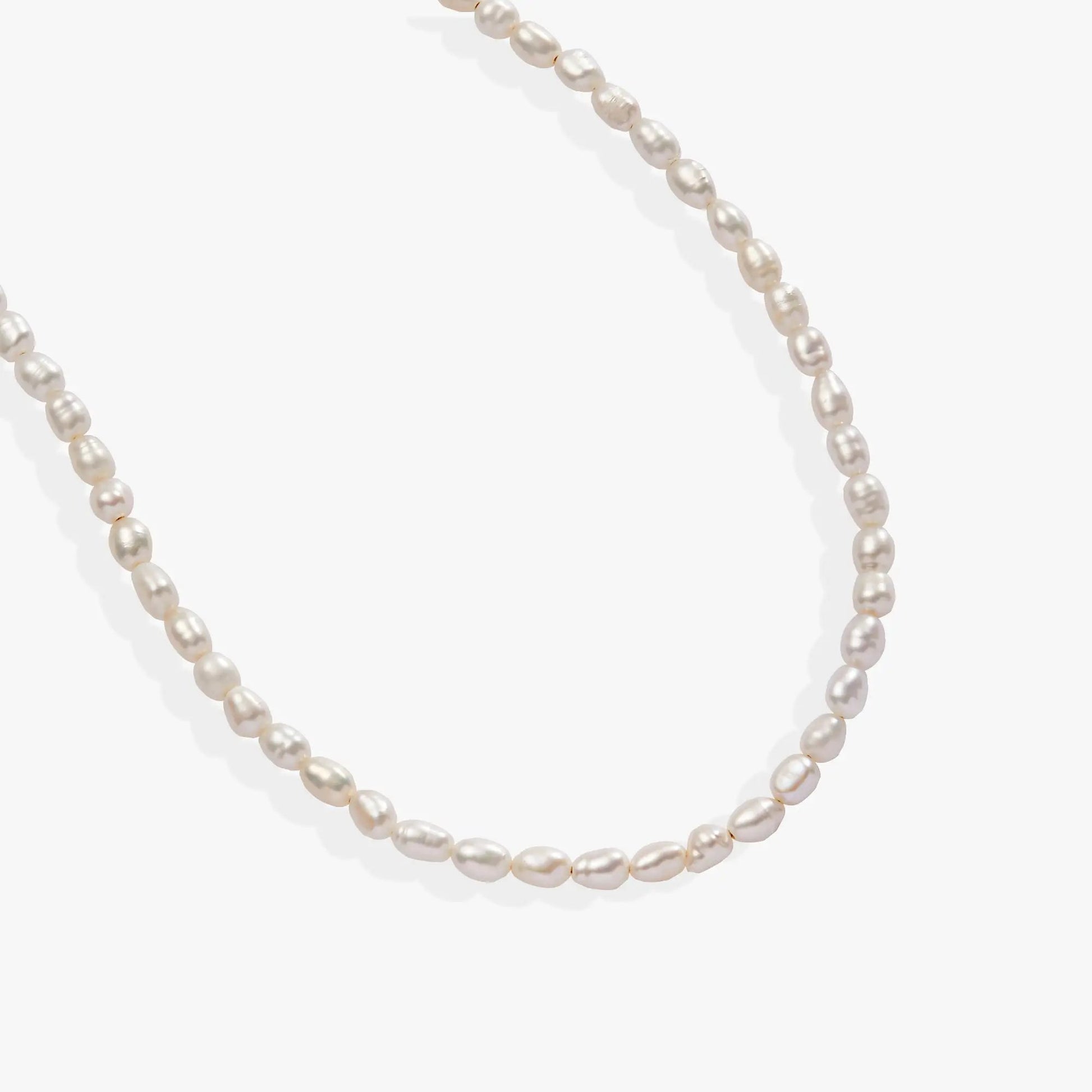 Freshwater Pearl Necklace by ALEX AND ANI with white round pearls on a classic strand on Tampa Home & Garden Store