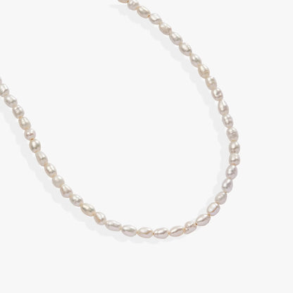 Freshwater Pearl Necklace by ALEX AND ANI with white round pearls on a classic strand on Tampa Home & Garden Store