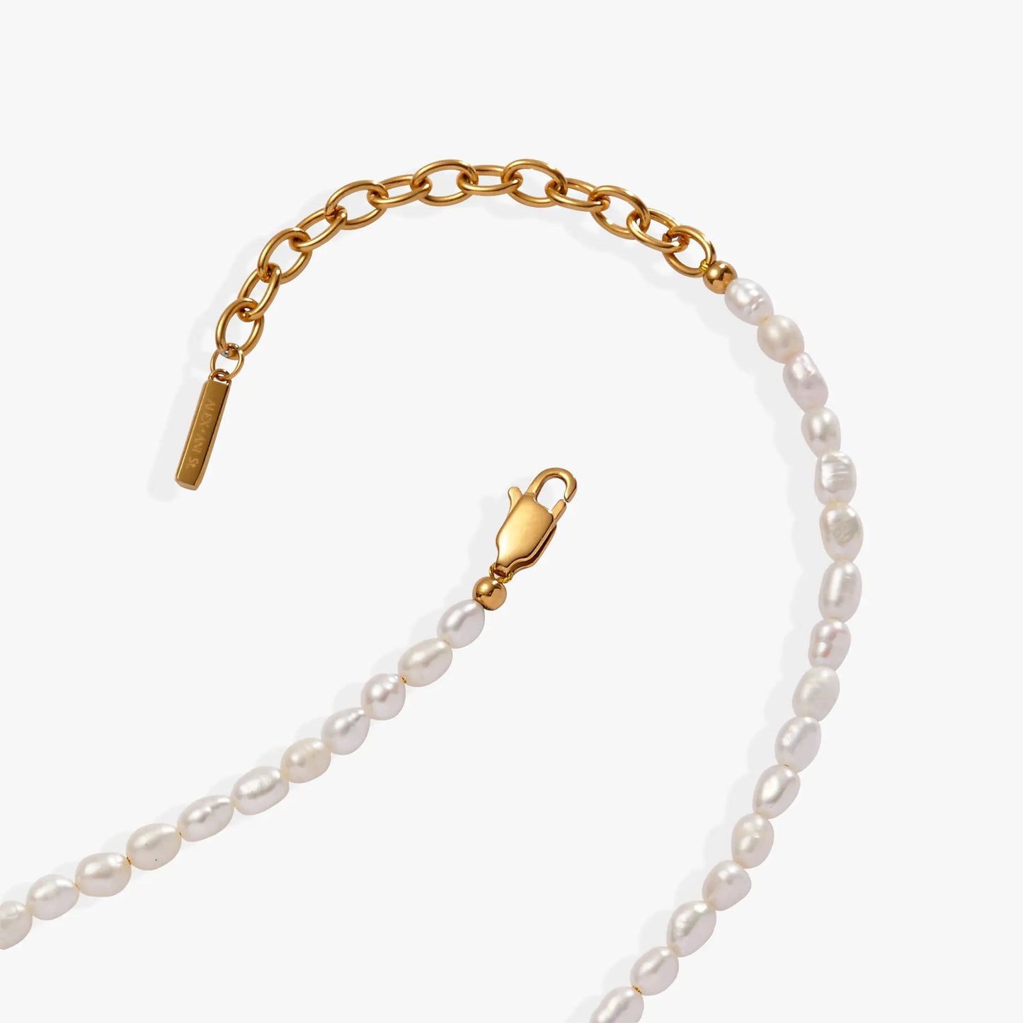 Freshwater Pearl Necklace with gold-tone chain and ALEX AND ANI clasp on Tampa Home & Garden Store