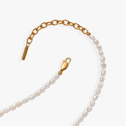 Freshwater Pearl Necklace with gold-tone chain and ALEX AND ANI clasp on Tampa Home & Garden Store