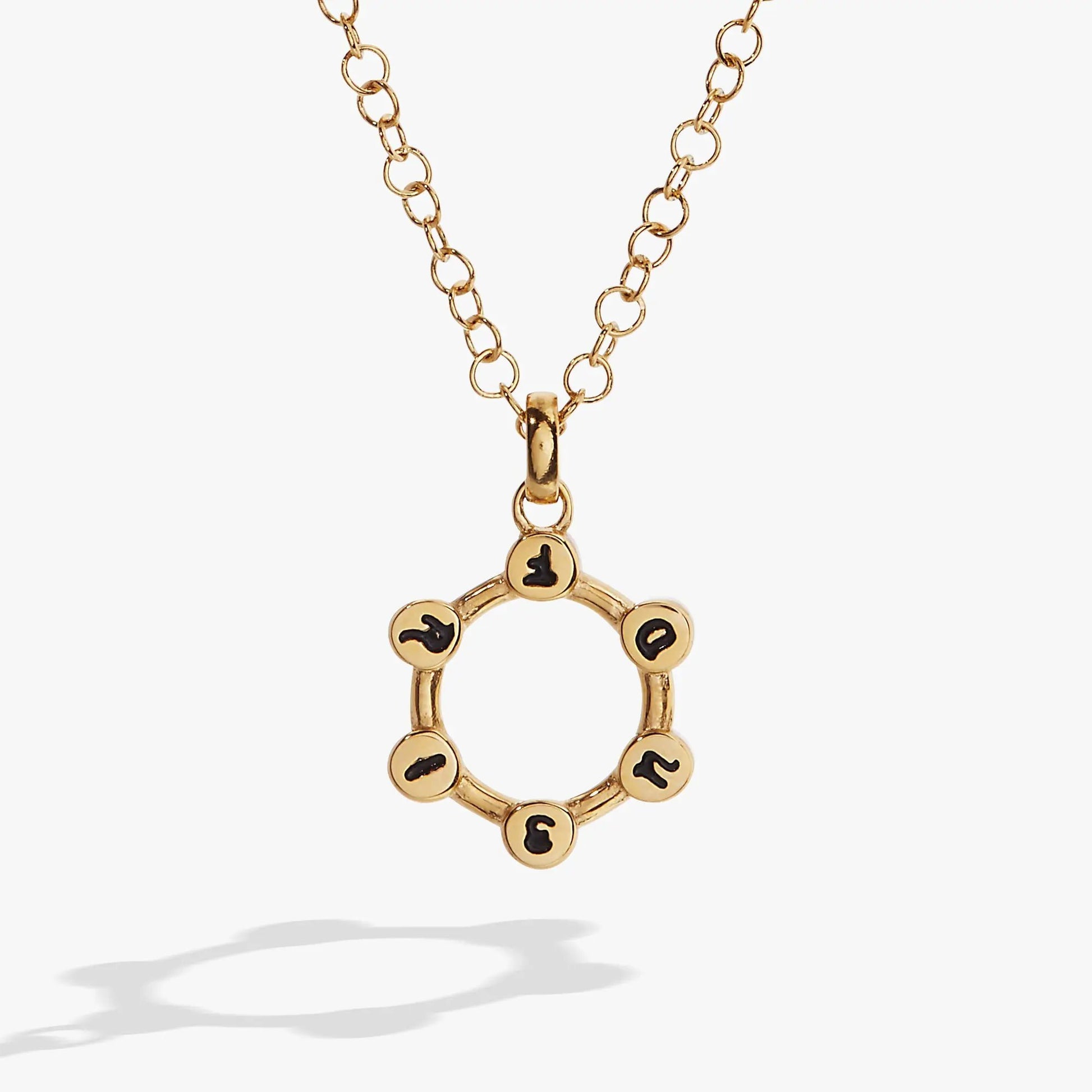 Gold-tone Alex and Ani Friend Hidden Message Acrostic Necklace with circular-link chain pendant on Tampa Home & Garden Store