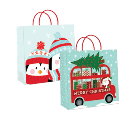 Lot de 2 grands sacs cadeaux en kraft -