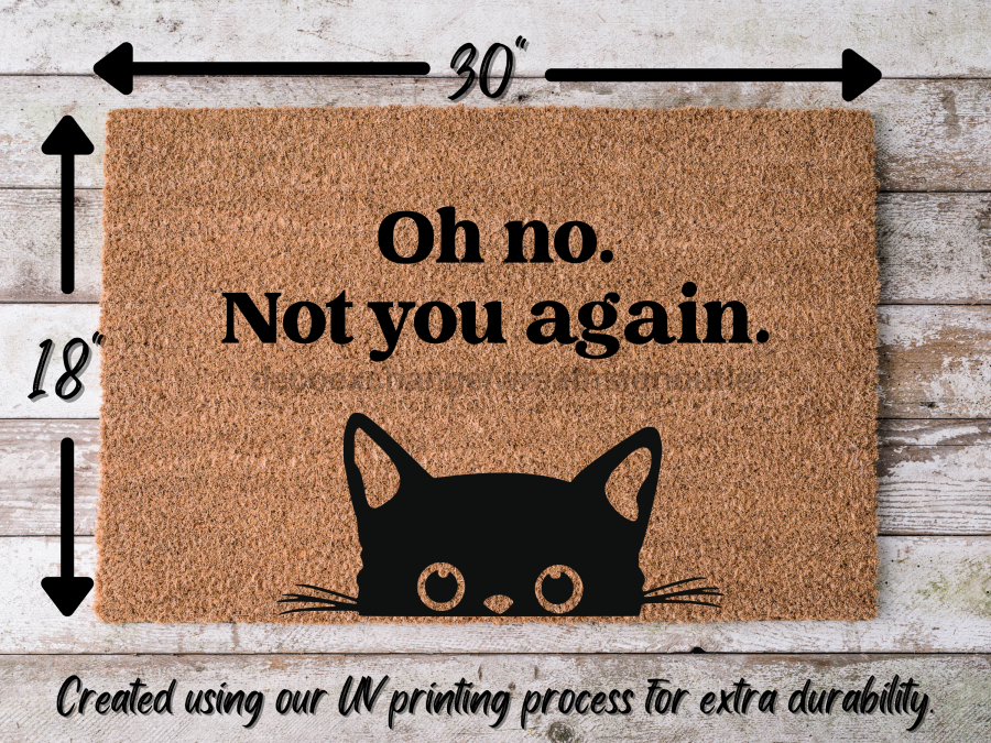 Funny Doormat, Coir Doormat, Welcome Mat, Housewarming Gift, Oh no, Not you again. Doormat, Cat Front Door Doormat, Welcome Doormat, New Homeowner Gift DECOE-CM-088