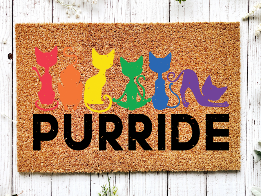 Funny Doormat, Coir Doormat, Welcome Mat, Housewarming Gift, Pride Doormat, Purride Front Door Doormat, Welcome Doormat, New Homeowner Gift DECOE-CM-080