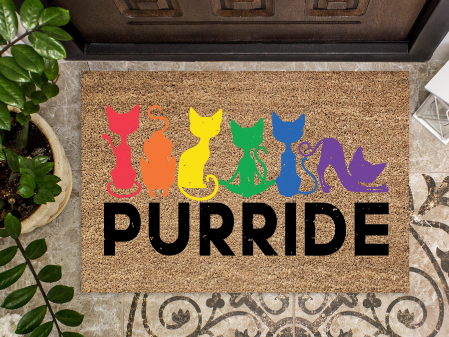Funny Doormat, Coir Doormat, Welcome Mat, Housewarming Gift, Pride Doormat, Purride Front Door Doormat, Welcome Doormat, New Homeowner Gift DECOE-CM-080