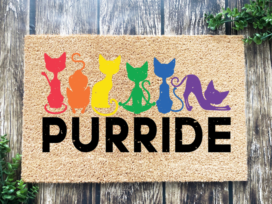 Funny Doormat, Coir Doormat, Welcome Mat, Housewarming Gift, Pride Doormat, Purride Front Door Doormat, Welcome Doormat, New Homeowner Gift DECOE-CM-080