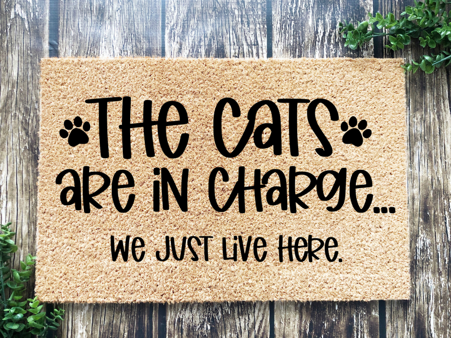 Funny Doormat, Coir Doormat, Welcome Mat, Housewarming Gift, The Cats Are in Charge, We Just Live Here Welcome Doormat, Cats Front Door Doormat, Welcome Doormat, New Homeowner Gift DECOE-CM-093