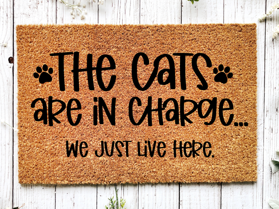 Funny Doormat, Coir Doormat, Welcome Mat, Housewarming Gift, The Cats Are in Charge, We Just Live Here Welcome Doormat, Cats Front Door Doormat, Welcome Doormat, New Homeowner Gift DECOE-CM-093
