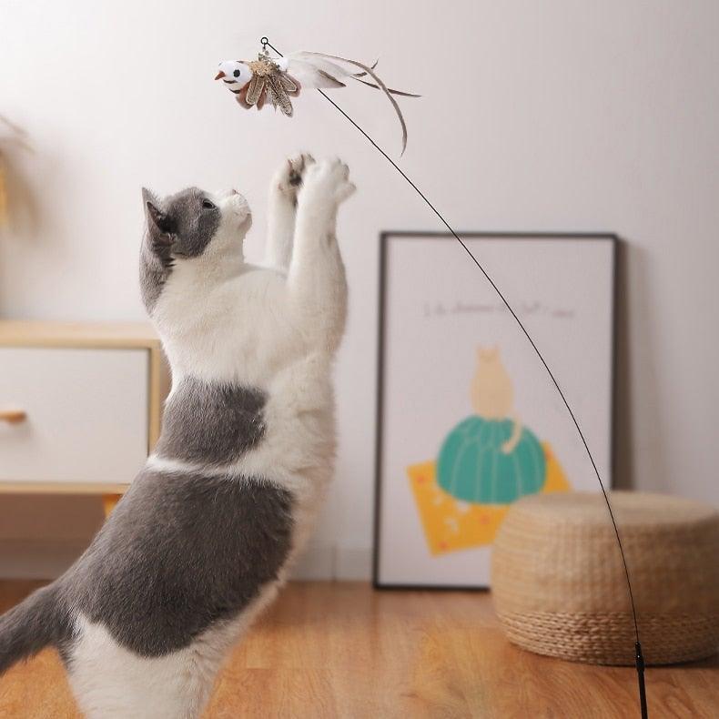Stevvex feather wand cat teaser with plush bird and bell, interactive wiggle toy on Tampa Home & Garden Store