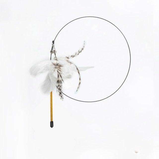 Stevvex cat teaser wand with feather plume and bell, circular hoop toy on Tampa Home & Garden Store