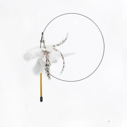 Stevvex cat teaser wand with feather plume and bell, circular hoop toy on Tampa Home & Garden Store