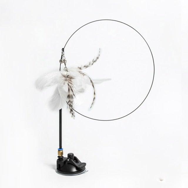 Cat teaser wand by Stevvex with feathers and bell, circular hoop on black stand for kitten play on Tampa Home & Garden Store