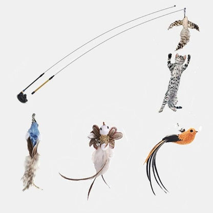 Stevvex cat wand teaser with 5 feather plush toys for interactive kitten play on Tampa Home & Garden Store