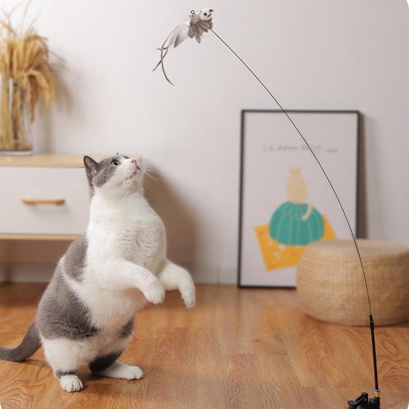 Funny Feather Bird Teaser Wand Cat Toy with Bell by Stevvex, wand wiggle teaser for kittens on Tampa Home & Garden Store