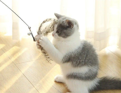 Stevvex feather teaser wand cat toy with bell, gray-white kitten playfully grabbing feather on Tampa Home & Garden Store