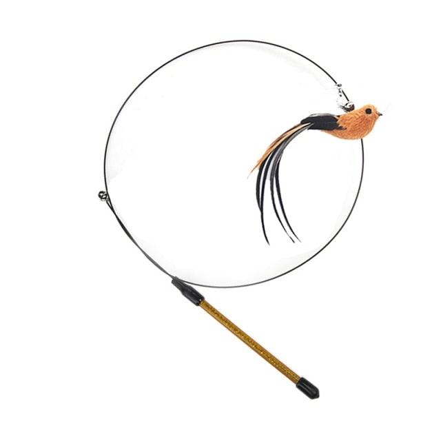 Stevvex cat teaser wand with orange feather bird and bell attached to a circular hoop on Tampa Home & Garden Store