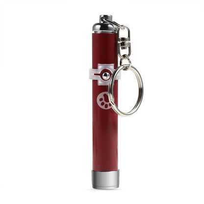 LED laser pointer keychain by Stevvex red with silver cap for indoor cats and dogs on Tampa Home & Garden Store